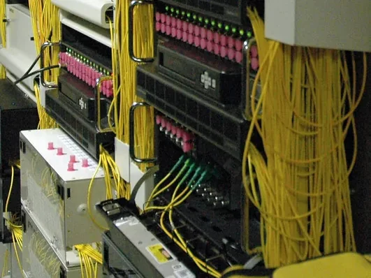 Organized network cabling in a commercial equipment enclosure.